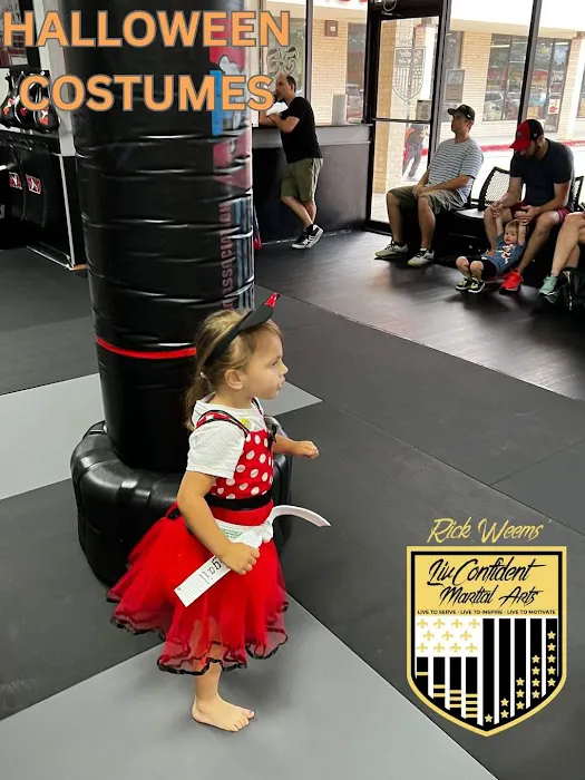 Rick Weems' LivConfident Martial Arts Picture 4