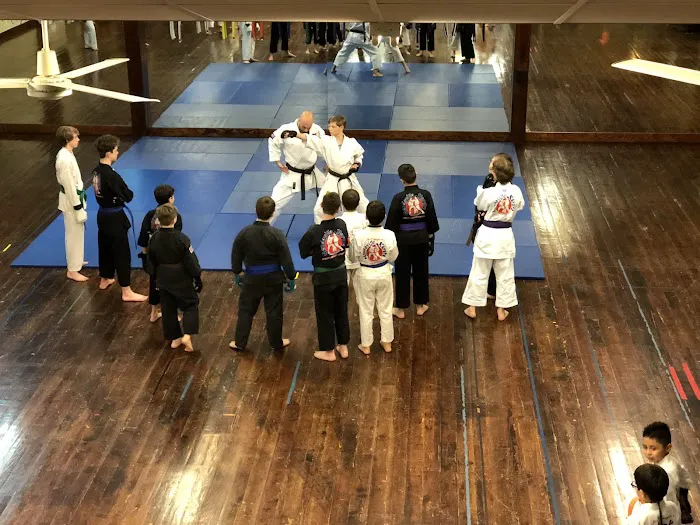 Mandeville Karate Picture 4