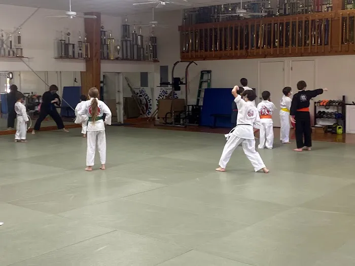 Mandeville Karate Picture 6