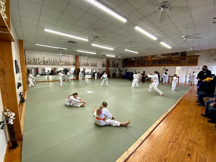 Mandeville Karate Picture 7