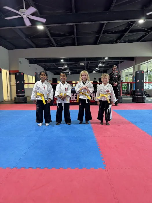 Tiger-Rock Martial Arts Mandeville Picture 7