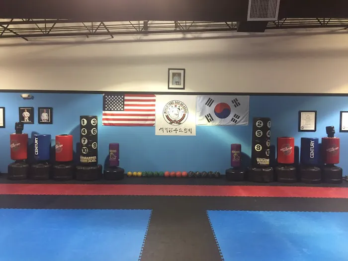Tucker's Tang Soo Do Picture 3