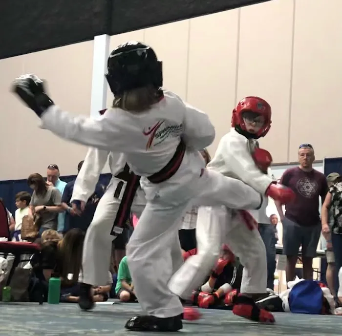 Springhill Taekwondo Center Picture 3