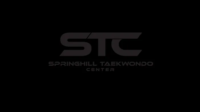 Springhill Taekwondo Center Picture 10