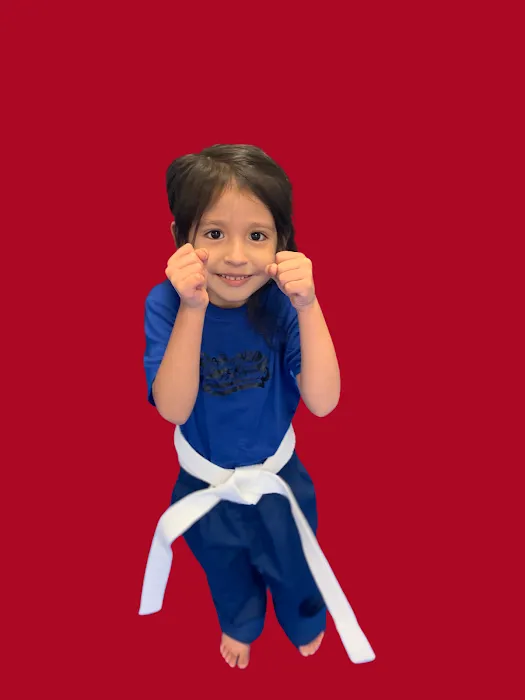 Springhill Taekwondo Center Picture 8