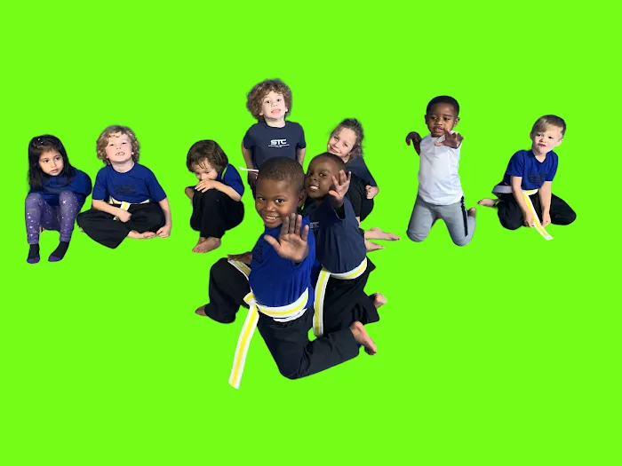 Springhill Taekwondo Center Picture 7