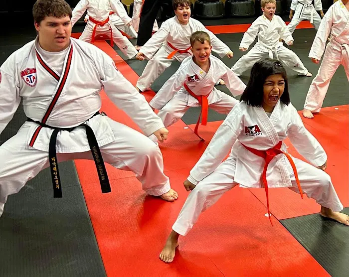MAX3 Martial Arts (Hillcrest) Picture 10