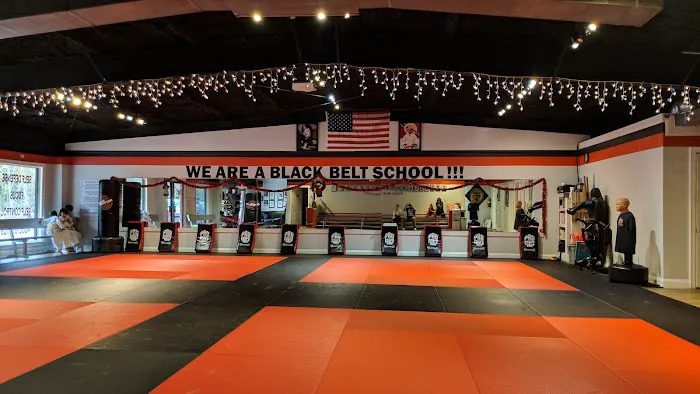 Covington Karate Studio Picture 6