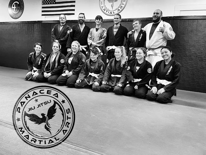 Panacea Martial Arts Picture 8