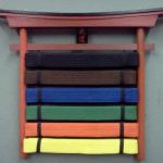 Karate 4 Kids, Dutch Kickboxing, Jujitsu & MMA (Airport & Hillcrest)