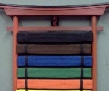 Karate 4 Kids, Dutch Kickboxing, Jujitsu & MMA (Airport & Hillcrest)