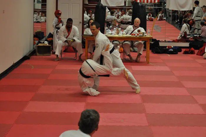 New Leaf Martial Arts Picture 1