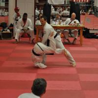 New Leaf Martial Arts ico