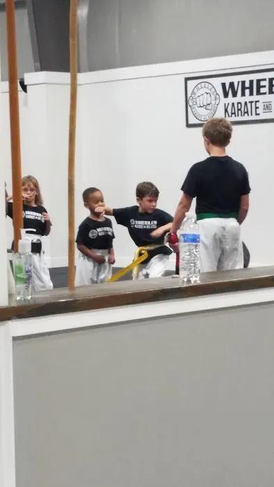 Wheeles Yoshukai Karate Academy Picture 2