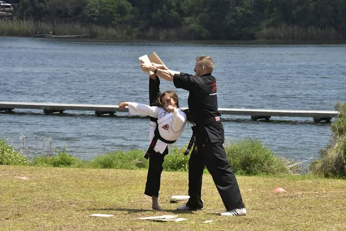 Tiger Rock Martial Arts Picture 1