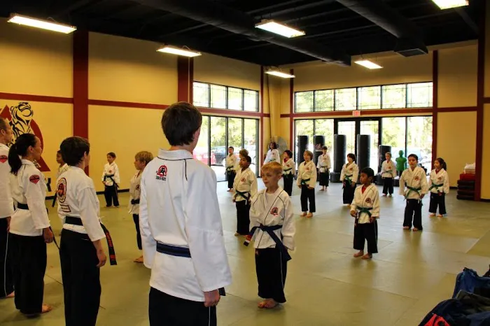 Tiger Rock Martial Arts Picture 6