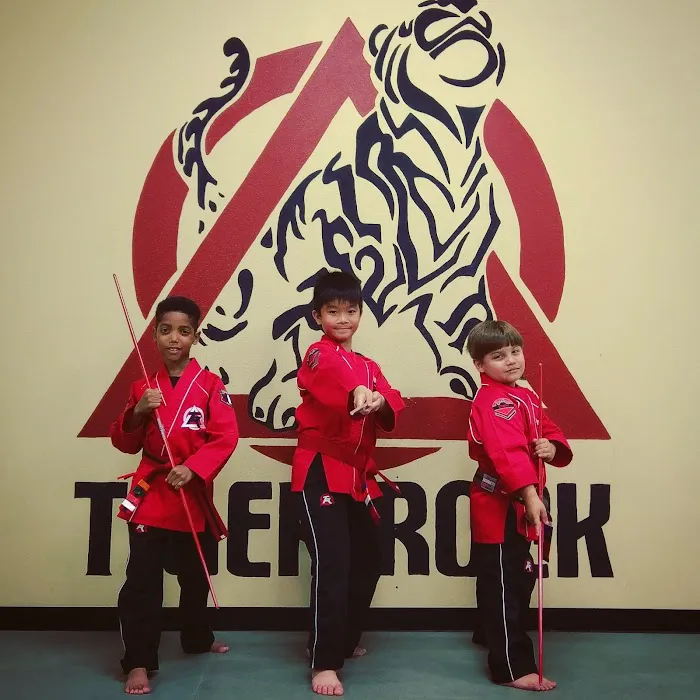 Tiger Rock Martial Arts Picture 9