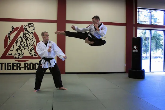 Tiger Rock Martial Arts Picture 8