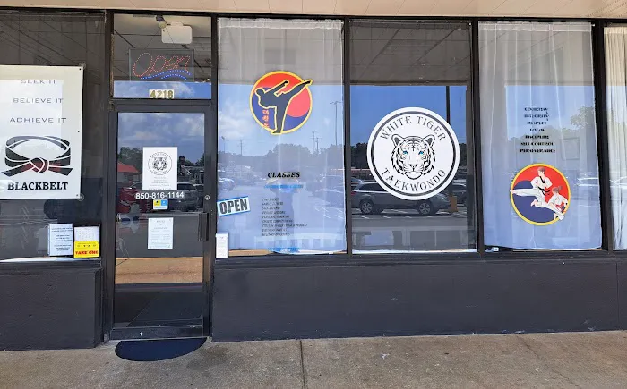 WHITE TIGER TAEKWONDO & Family Fitness Activity Center Picture 5