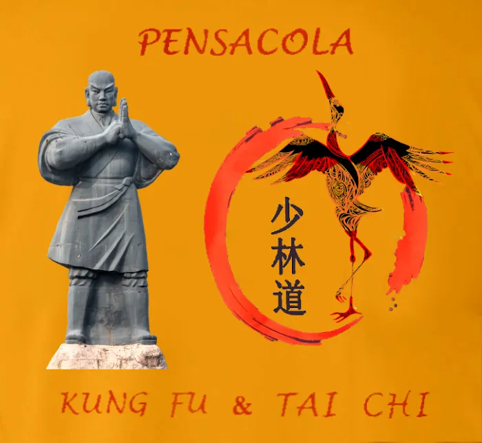 Pensacola 少林 Martial Arts | Kung Fu & Tai Chi Picture 7