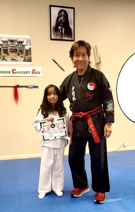 Pensacola 少林 Martial Arts | Kung Fu & Tai Chi Picture 3