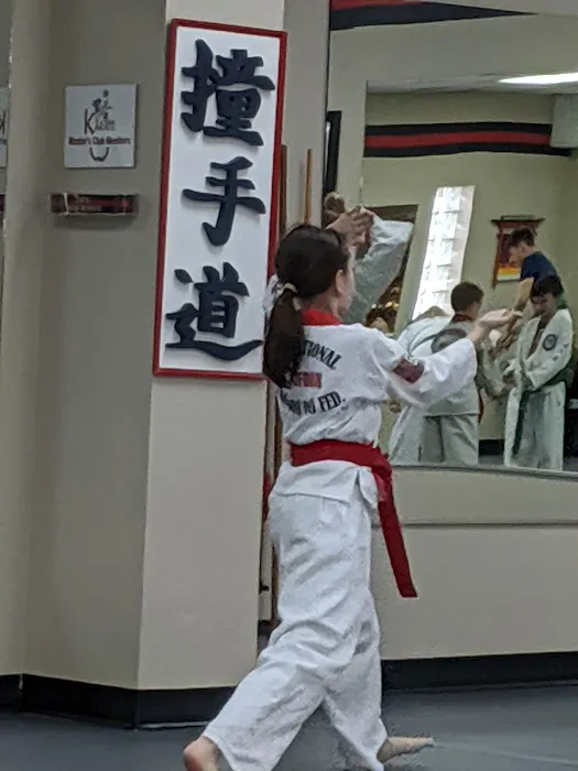 PTSDA Karate Picture 1