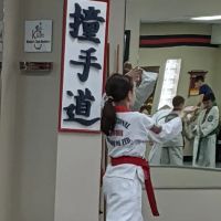 PTSDA Karate ico