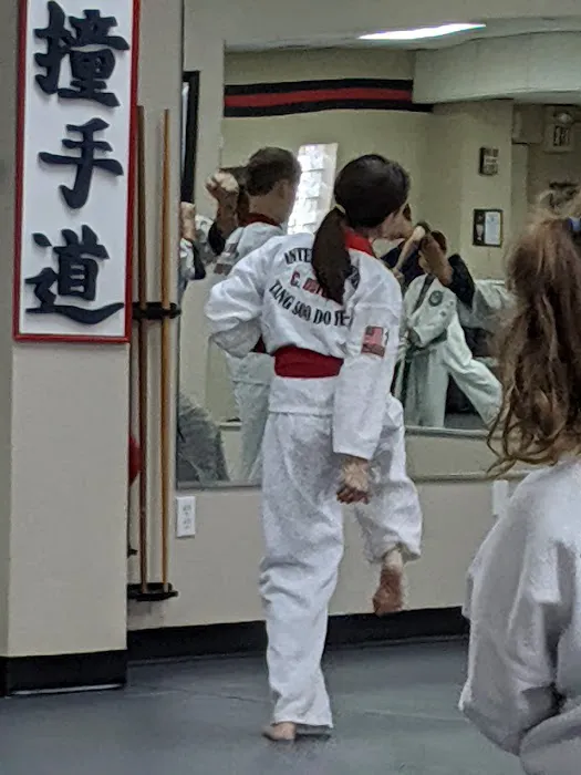 PTSDA Karate Picture 5