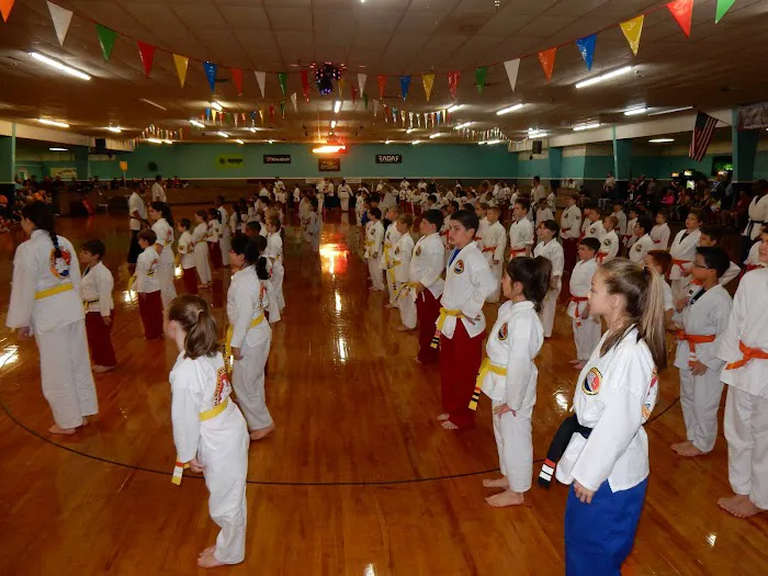 Martial Arts America Picture 1