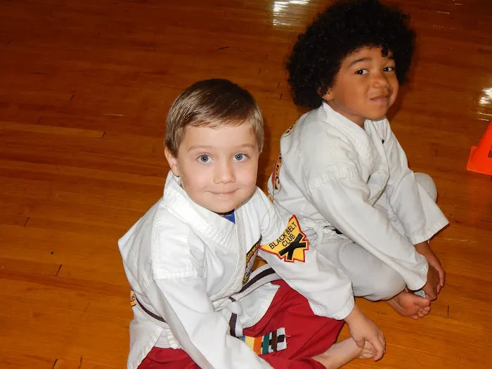 Martial Arts America Picture 2