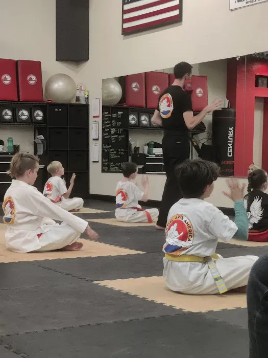 Martial Arts America Picture 4