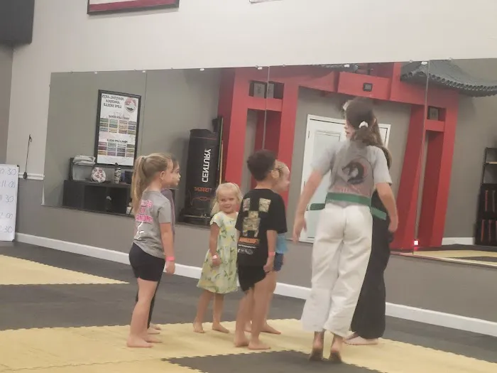 Martial Arts America Picture 2