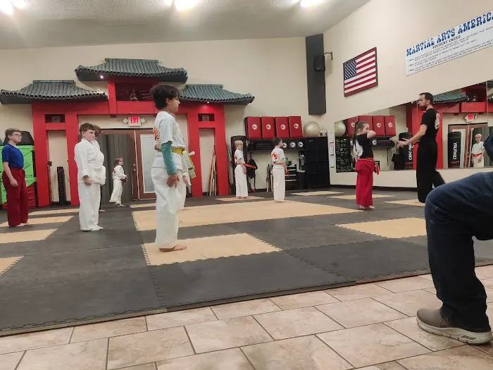 Martial Arts America Picture 3