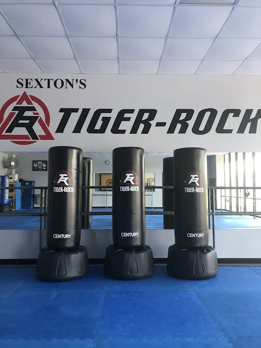 Sexton’s Tiger-Rock Martial Arts Picture 1