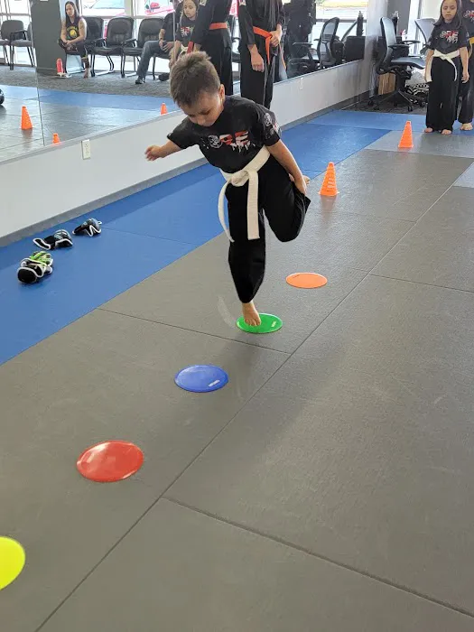 Core Martial Arts Academy Picture 9