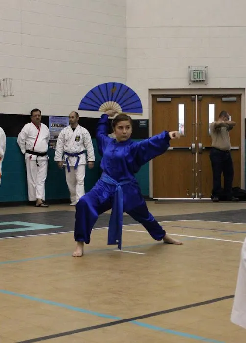 Midway Budo Dojo Martial Arts Club Picture 9
