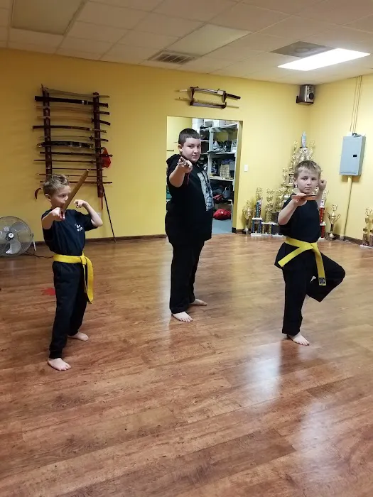 Midway Budo Dojo Martial Arts Club Picture 4