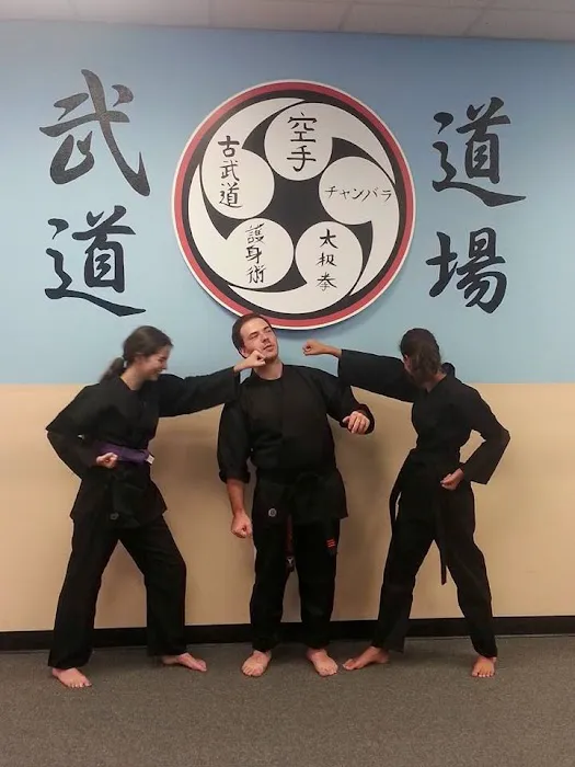 Midway Budo Dojo Martial Arts Club Picture 6