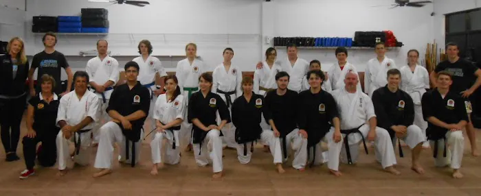 Falbo's Family Karate Picture 2