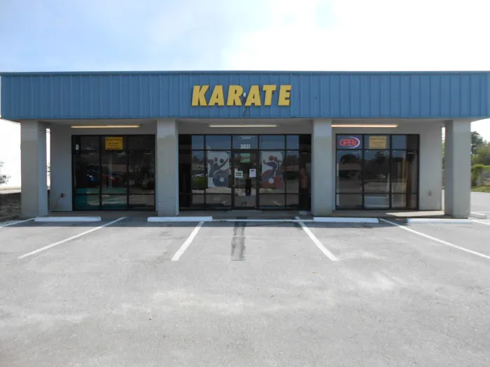 Falbo's Family Karate Picture 6