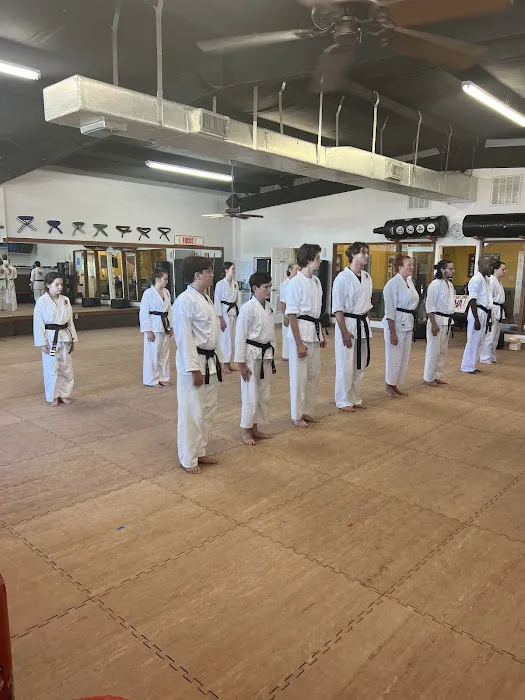 Falbo's Family Karate Picture 1