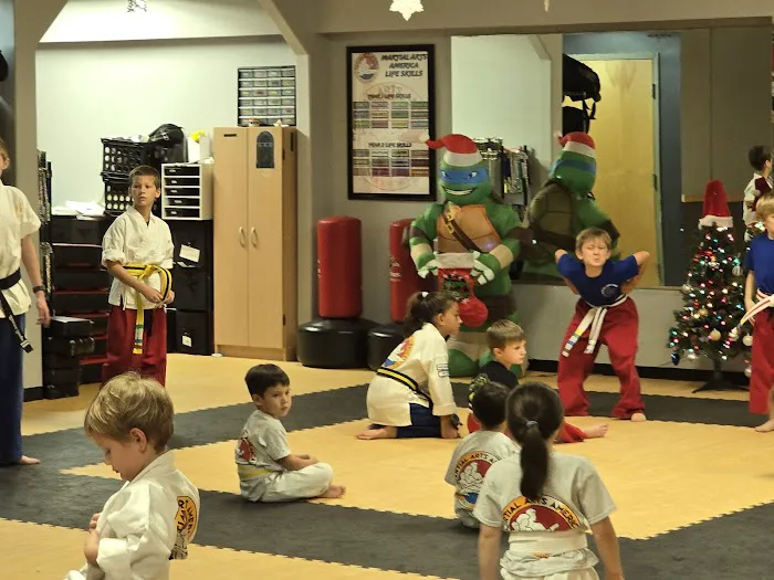 Martial Arts America Picture 6