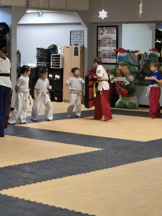 Martial Arts America Picture 1