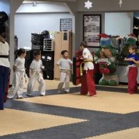 Martial Arts America ico