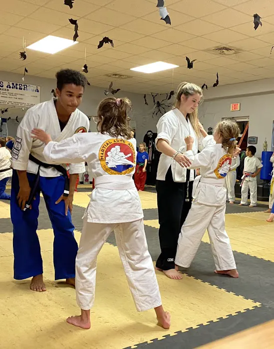 Martial Arts America Picture 4