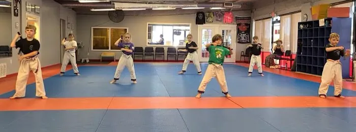 Precison Martial Arts Picture 1