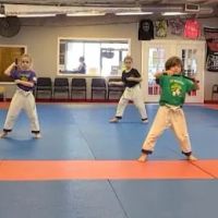 Precison Martial Arts ico