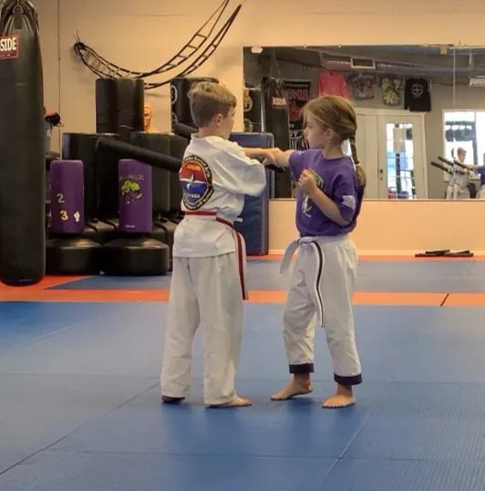 Precison Martial Arts Picture 2
