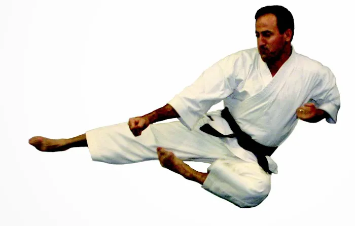 Emerald Coast Martial Arts Picture 10