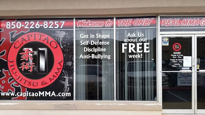 Capitao Jiu Jitsu and Mixed Martial Arts, INC Picture 6